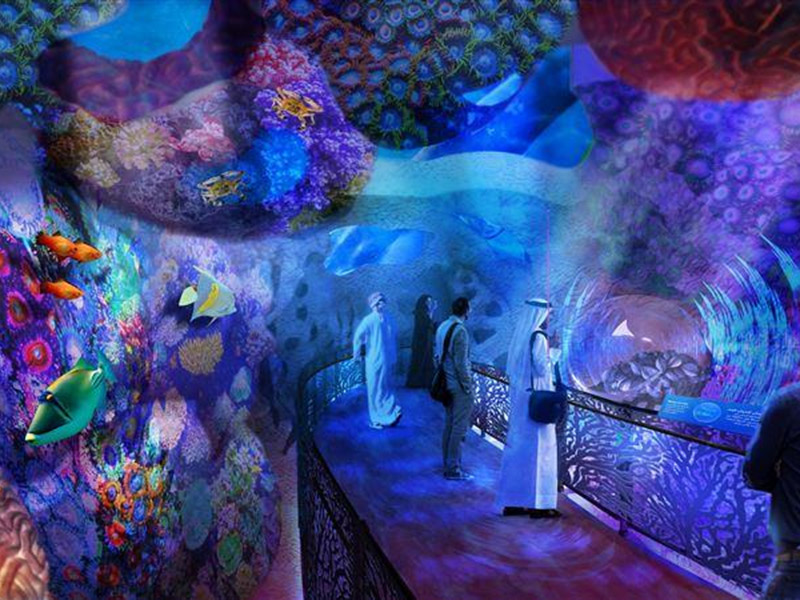 نظرة عن كثب على جناح الاستدامة "تيرا" في إكسبو 2020 دبي